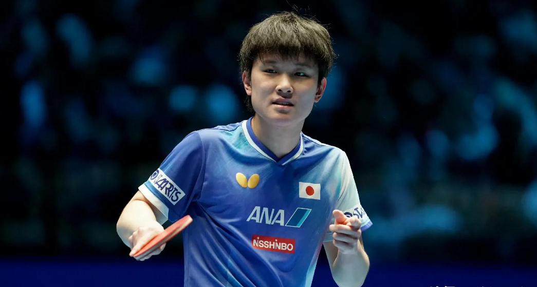 波兰乒乓球队轻取法国乒乓球队,张本智和绝境逆转的简单介绍 波兰乒乓球队轻取法国乒乓球队,张本智和绝境逆转的简单介绍