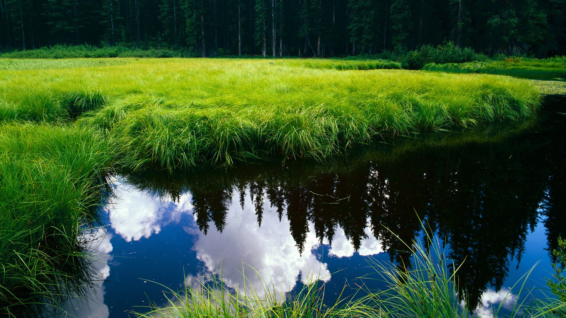 当克莱降临末节，一场不可复制的英雄主义奇迹