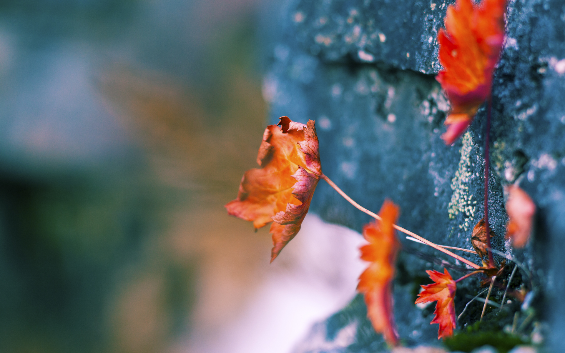 厄瓜多尔翻盘美国,篮球世界里的大地震